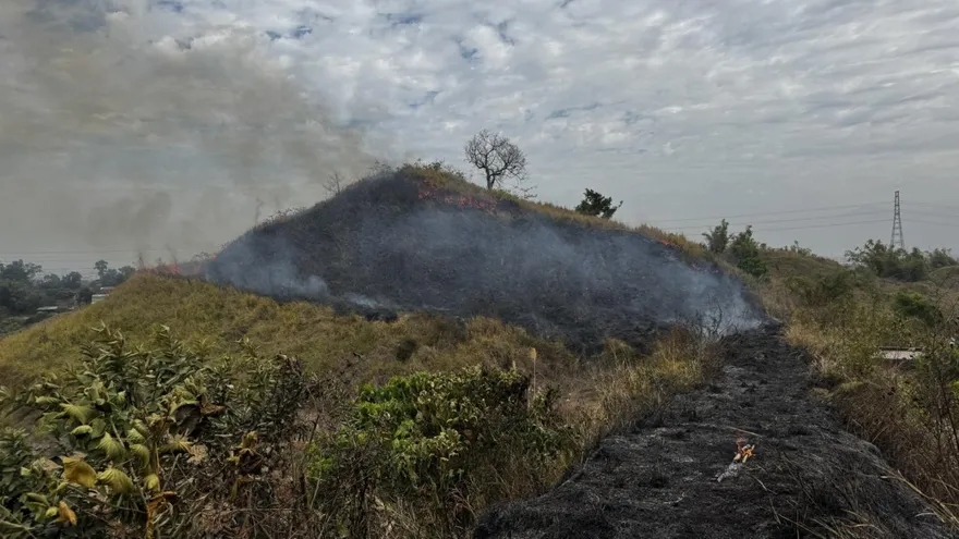 高雄大寮火燒山！雜草燃燒狂竄濃煙　搶救2小時控制