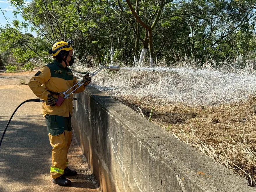 清明拜拜燒金紙易燃野火　林業署台中分署3/14起金紙集中處理