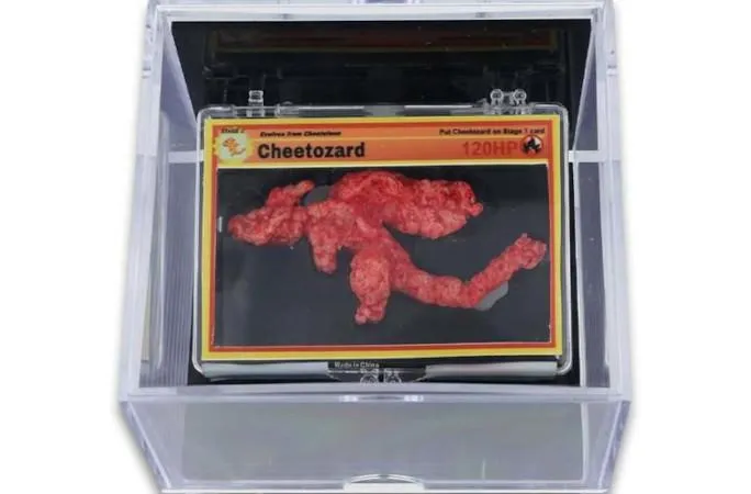 只因造型酷似寶可夢「噴火龍」　奇多餅乾拍賣280萬天價成交