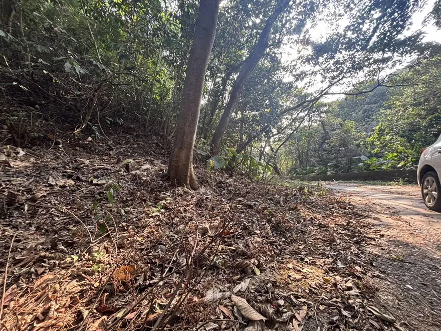 駭人！彰化傳雙眼「眼珠挖空+臉皮削光」命案　疑毒品糾紛