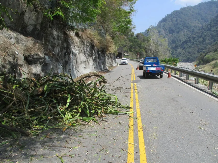 台中和平區樹木掉落砸車！車主可申請國賠