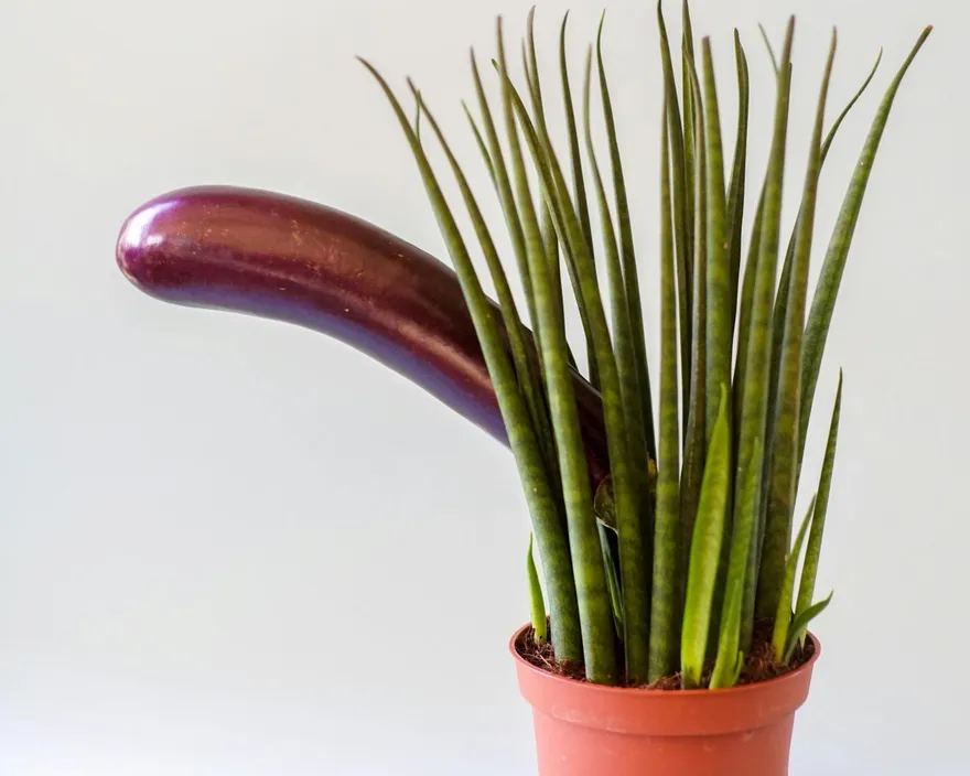 人趴了小弟弟還精神奕奕？膀胱、禁慾、過勞都是幕後黑手