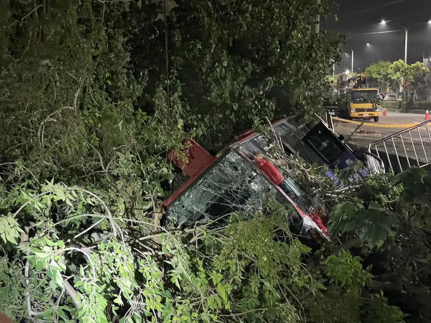 影/司機疑暈眩！龍井617路公車墜坡　10米長樹枝刺入車廂2傷