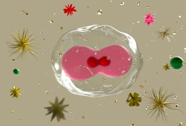 破解糖尿病「胰島細胞壞掉」迷思！醫：它只是忘記工作了