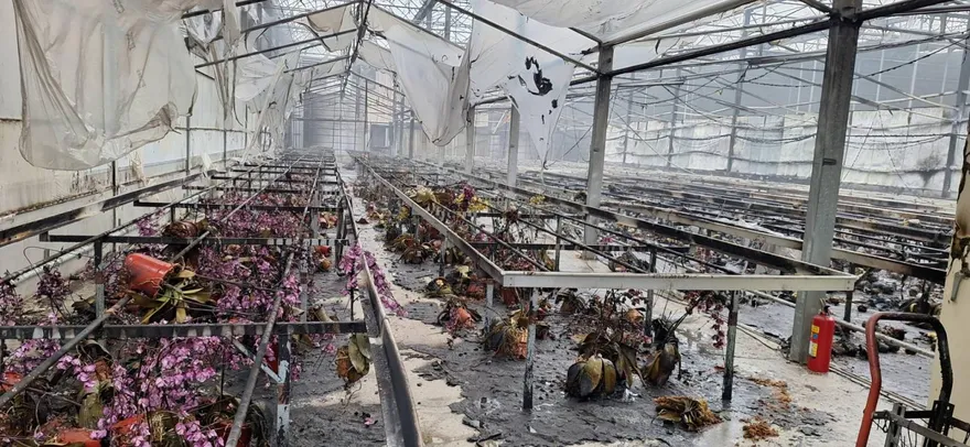 影/台南後壁蘭花園陷火海！溫室燒毀損失逾20萬...現場慘況曝