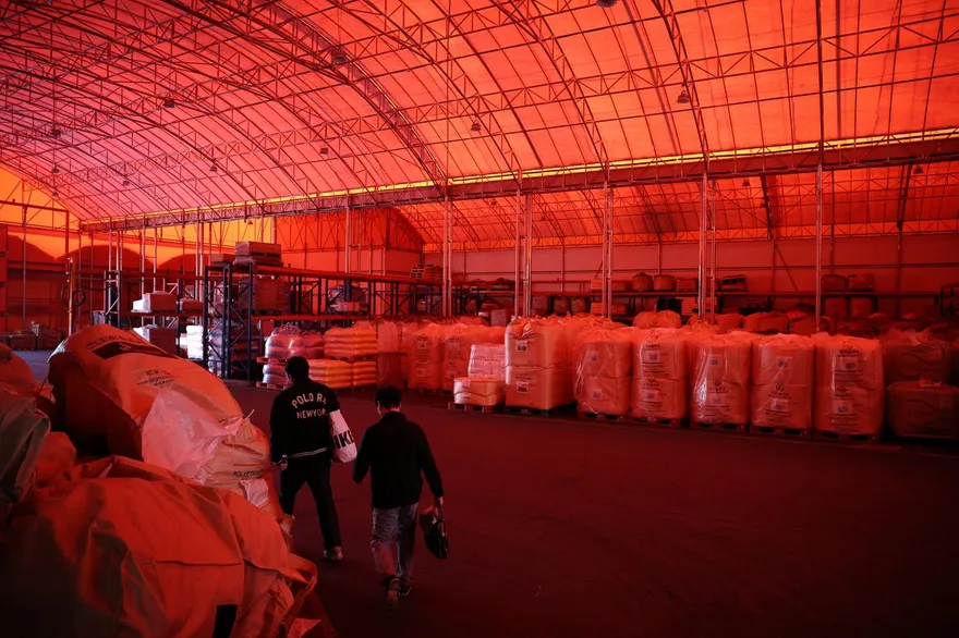 泡麵、玩具到美妝都將受波及　全球油荒正演變成全面短缺危機