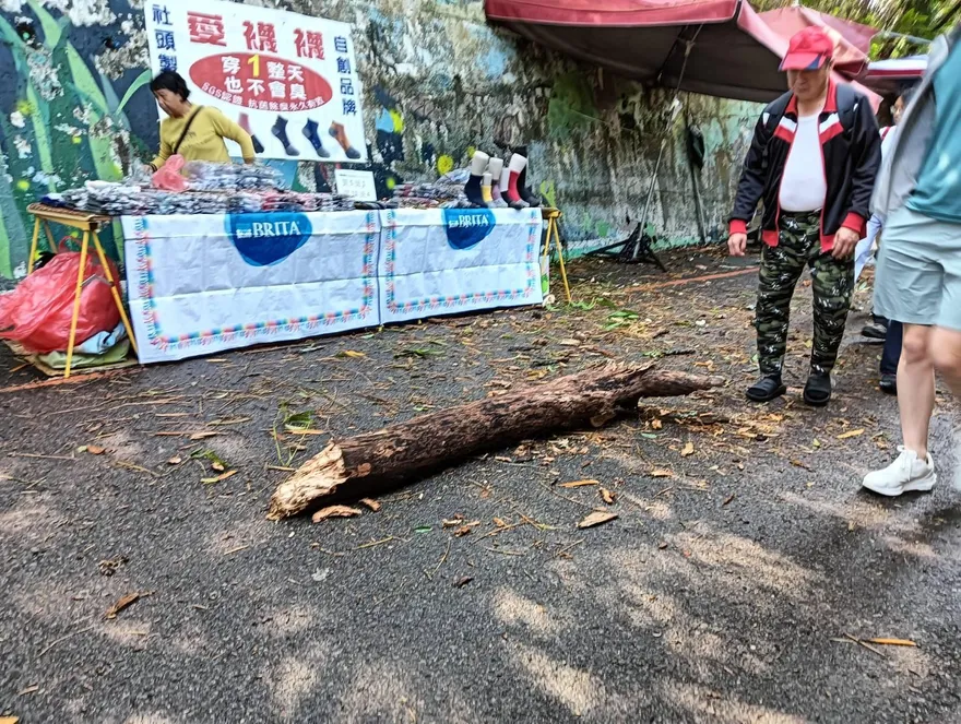 大雨釀災！台中大坑9號步道邊坡枯木倒塌　擊中攤架險砸人