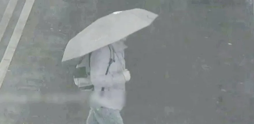 新北大道「無辜遭撞慘死路人」手機號碼查出！2可能身分曝光