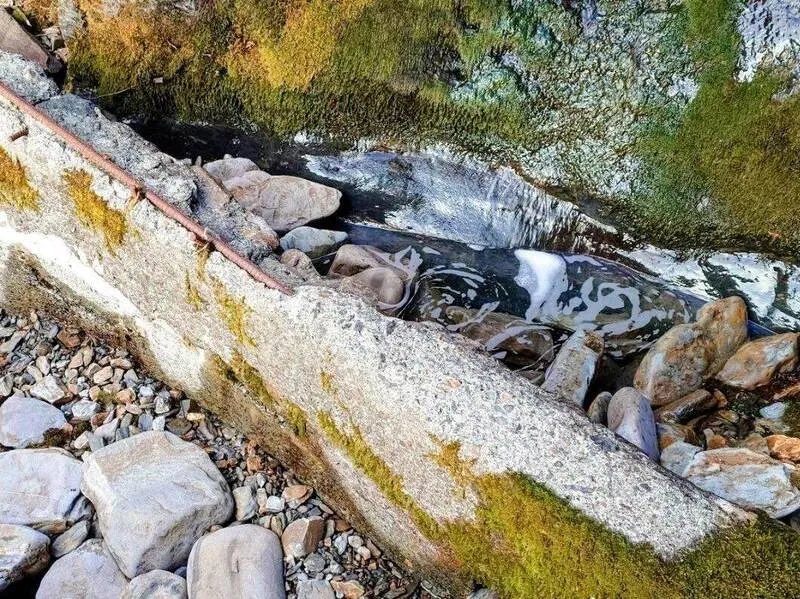 春雨救玉山排雲山莊！山澗重新出水　免再抽下方溪谷水源