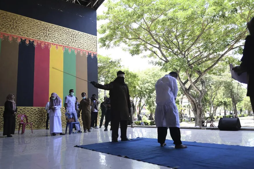 鎖定重大犯罪！藍委推「鞭刑公投」