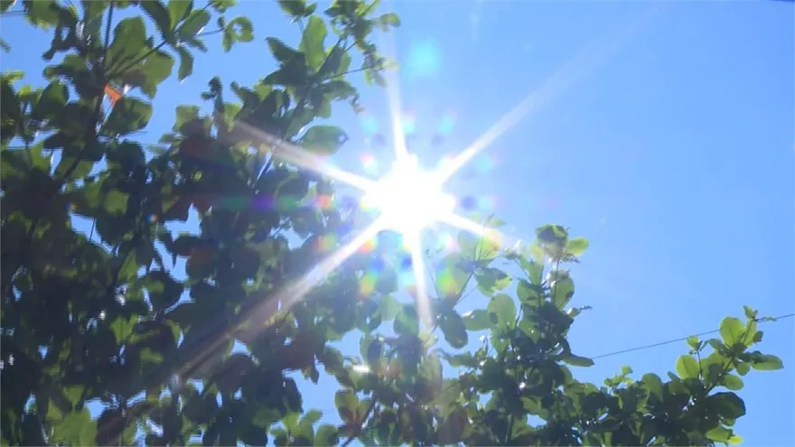 高雄天氣變熱汛期將至！　市府下令強化食安、防洪機制