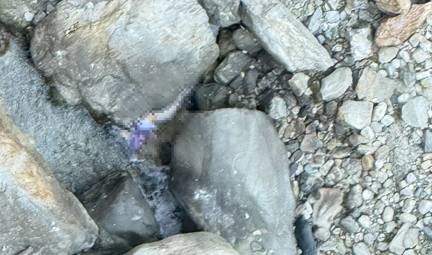 南投雙龍瀑布死亡意外！男墜「40樓高吊橋」遺體卡巨石