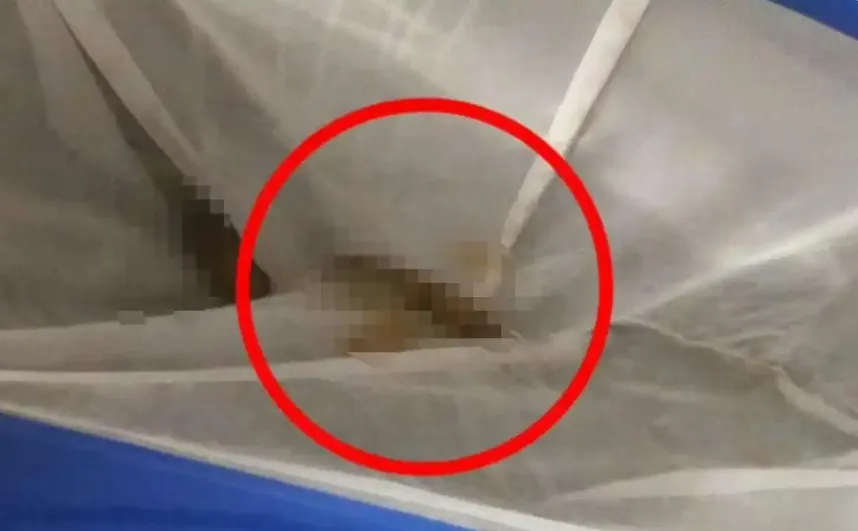 噁爆！花千元泡裸湯「池內撈出糞便」　陸女崩潰：不只一兩坨