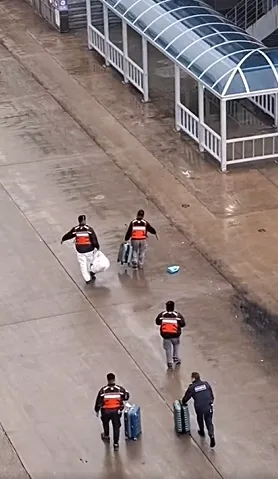 還敢不準時？3旅客遲到直接被丟包！豪華郵輪卸下行李開走了