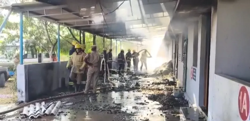 廠房夷平地！印度煙火工廠大爆炸　至少25死遺體焦黑難辨