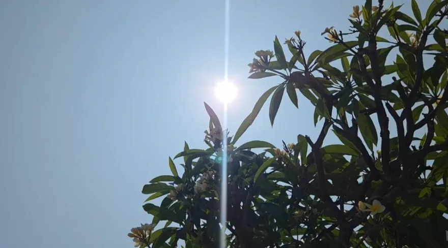 台南、屏東高溫特報！熱飆36度以上　慎防熱傷害