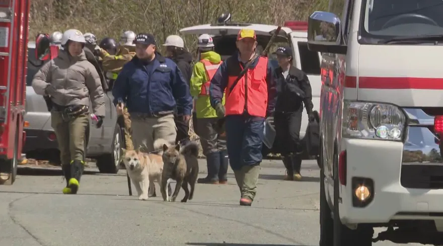 日本熊害再起！警山區找失蹤人員遭熊抓傷　現場發現女性遺體