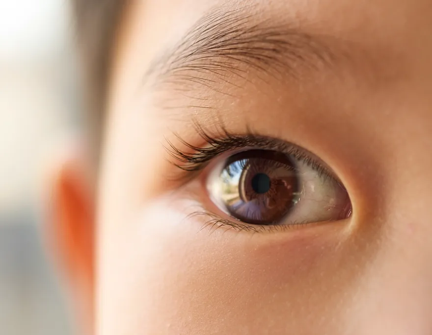 猛點人工淚液眼還是乾？醫：眨眼少一次淚膜就崩一次