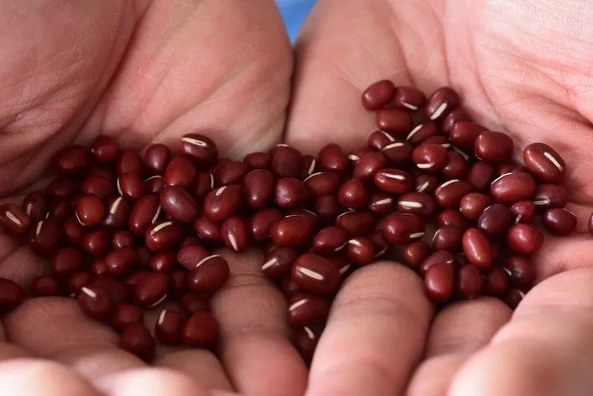 2招「免顧火」煮出超軟爛紅豆湯！加糖時機是關鍵　別迷信紅豆水