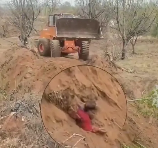 囂張！陸卸任村官因土地糾紛　竟開鏟車「活埋村民」