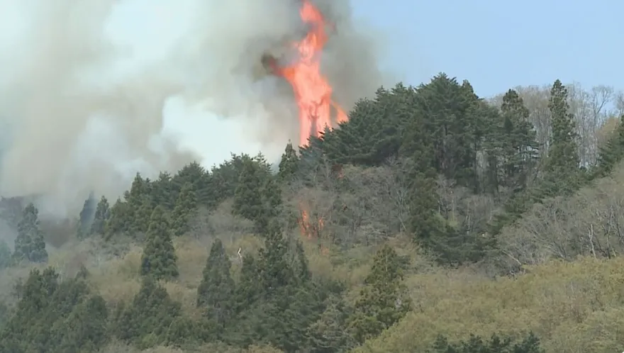 影/日本岩手山火狂燒3天　火勢逼近住宅區超2500人急避難