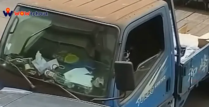 35秒畫面曝！小貨車離奇滑行撞車...駕駛竟然是「汪星人」