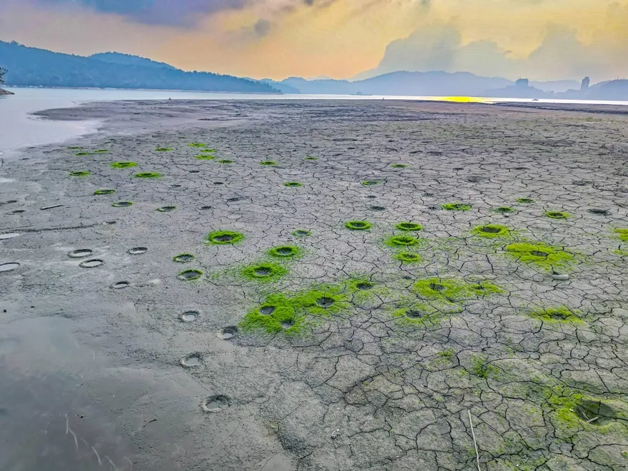 免飛外太空！九蛙步道浮現「隕石坑」　漁民：吳郭魚產卵挖掘