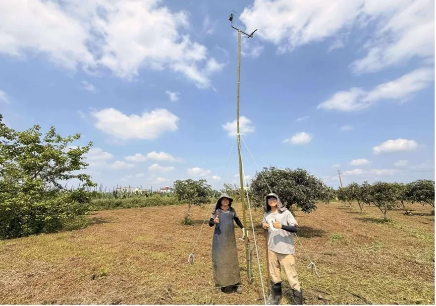 屏東草鴞保育「不放鼠藥」有獎勵　農民1公頃最高領3.3萬