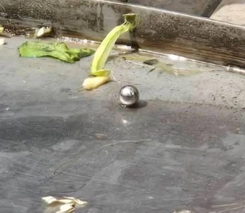 澎湖北辰市場「尖峰時間」遭歹徒開槍狂射！警方緝兇中