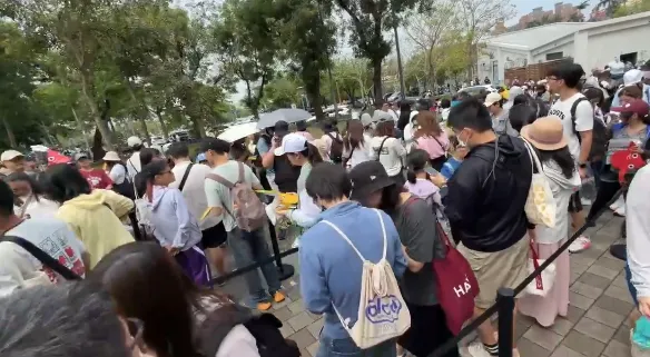 皮克敏活動首日大亂！贈品引發「不公」風暴　嘉市府緊急修訂