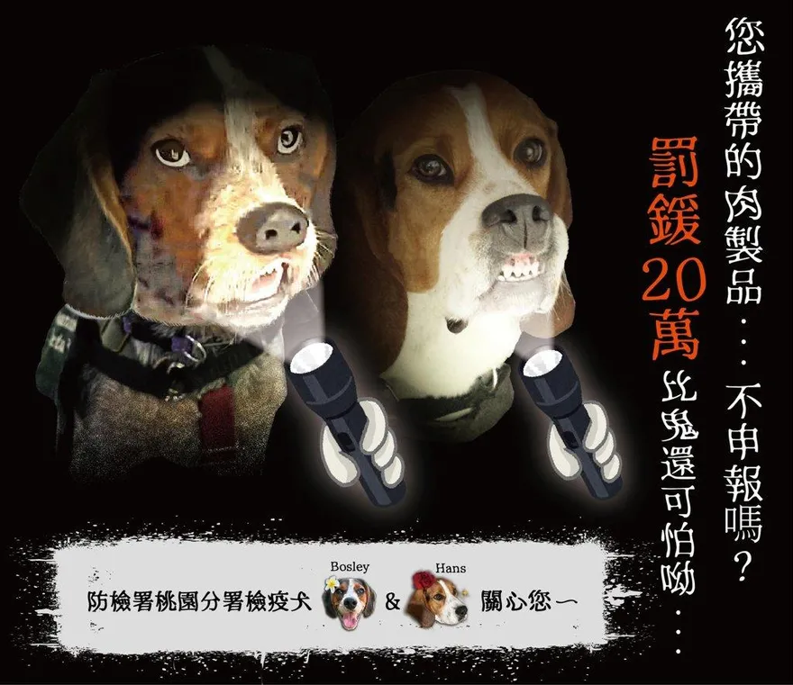 79萬人狂讚！台灣檢疫犬「I 吸 YOU」紅到國外