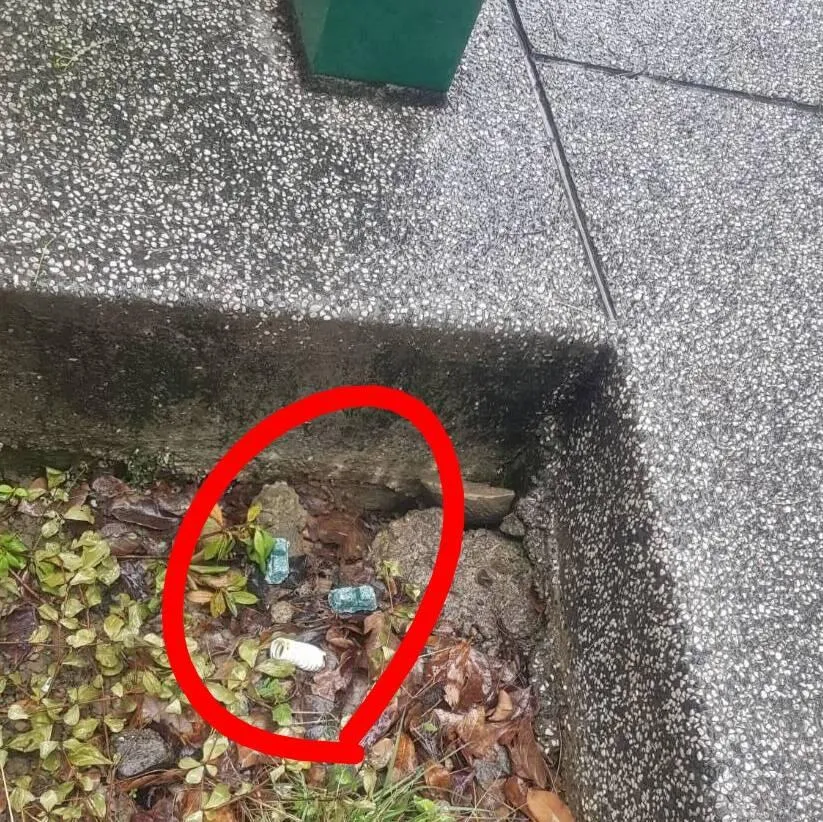 被控設局放藥黑蔣萬安？　林亮君反擊：那是環保局拍的