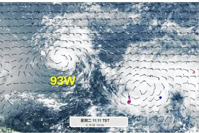 第5號颱風醞釀中！93W最快2天內成颱　吳聖宇曝預測路徑