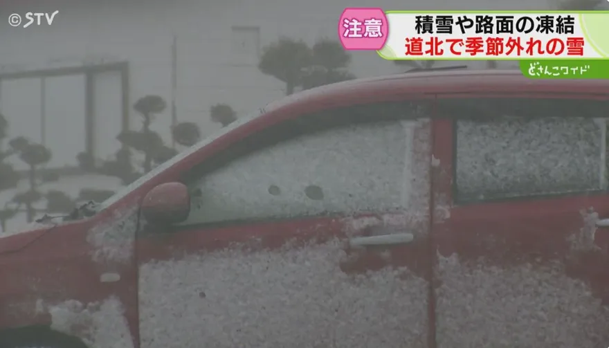 影/北海道罕見「5月雪」　旭川市區積雪逾2cm為21年來首見