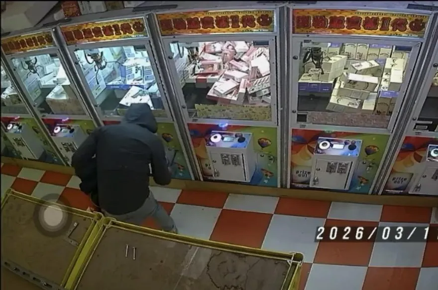 影/士林夜市娃娃機大盜橫行　破壞機台太忘我遭活逮