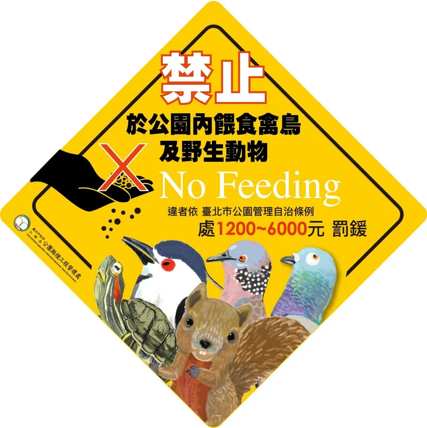 不給鼠吃！北市即起加強取締公園餵食動物　最高罰6千