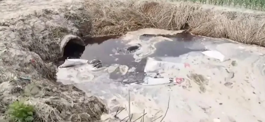農田旁黑水直流！徐州羊皮加工廠偷排強鹼污水　央視狠批毒水溝
