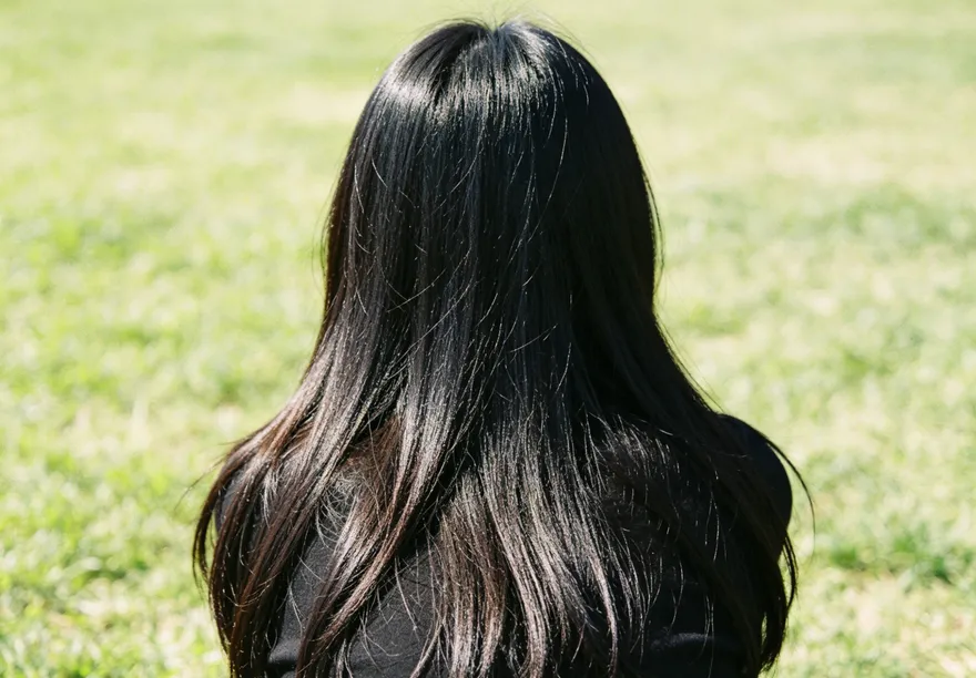 白髮掉髮從肝腎調起！中醫推「這三味藥材」重返烏黑
