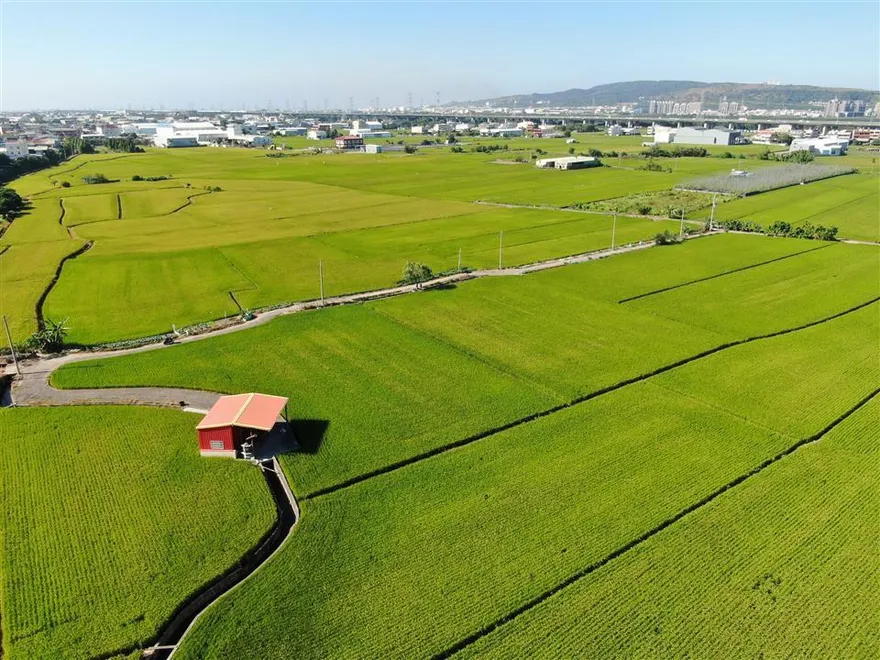 想當地主？彰化縣5/29農地標售　釋出20筆耕地