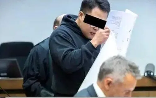 陸留德菁英組「德國駕校」犯罪群組！碩士、高管迷暈女子侵害