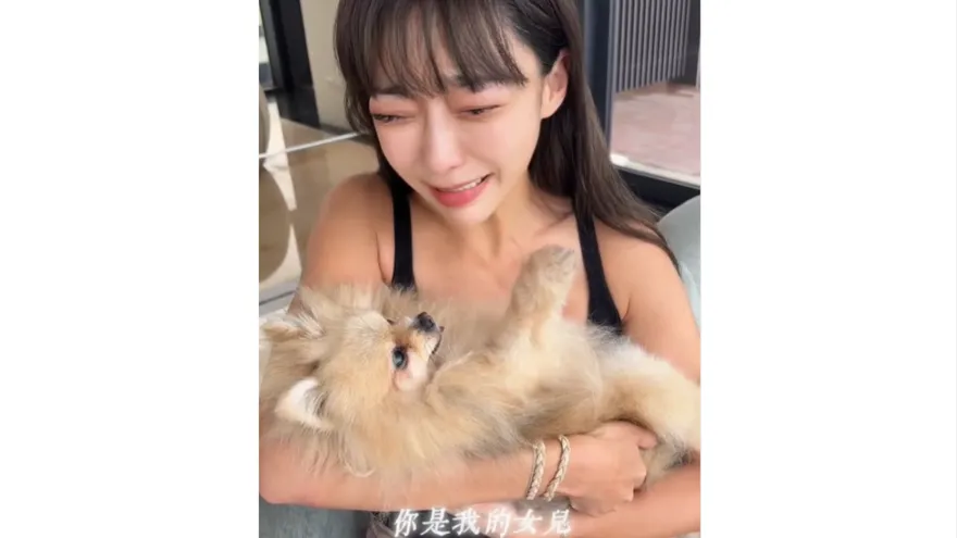 相伴13年！李宓愛犬過世　悲痛告別：謝謝來當我的家人