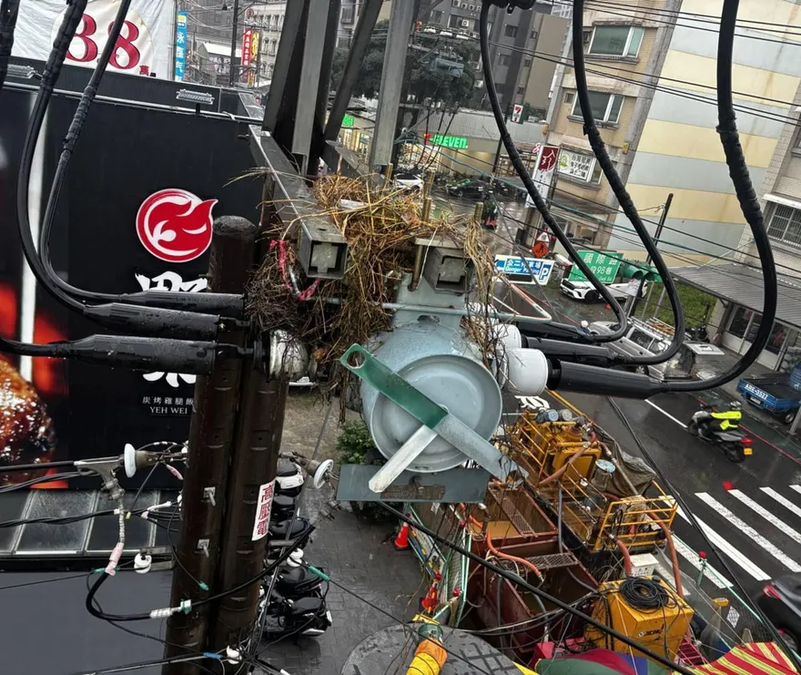 桃園人注意！雨天鳥築巢「電桿閃火花」釀2230戶停電