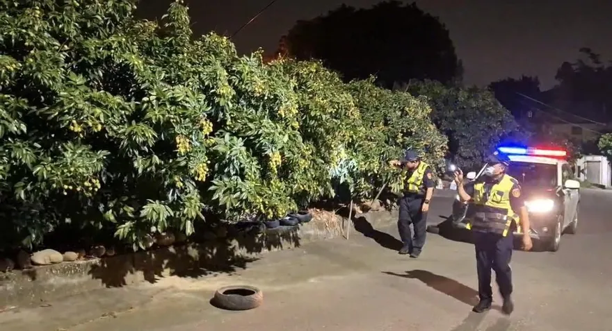 影/高雄玉荷包迎採收季！未成熟小偷頻光顧　警推「護荔專案」