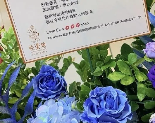 睽違12年！孫燕姿首攻大巨蛋「大咖花籃海」  蕭亞軒感性告白