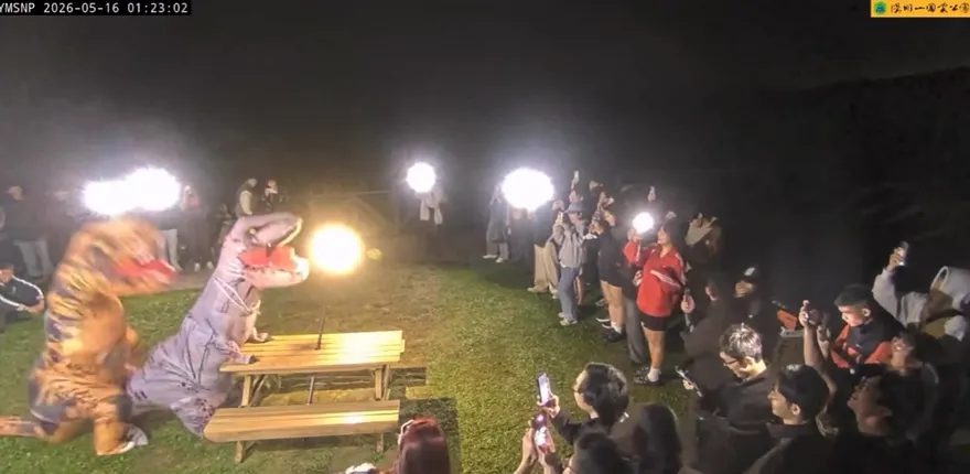 拯救國旅？百人夜衝看「恐龍」模仿擎天崗情侶