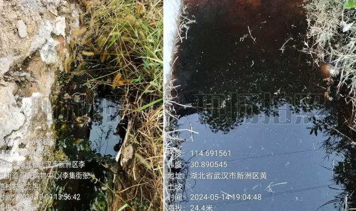 武漢現「癌症村」！全村585人62人罹癌　疑化工汙染監管失職