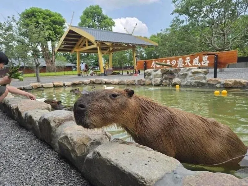 宜蘭知名動物農場被爆「沒給5星評價不讓走」！業者致歉喊誤會