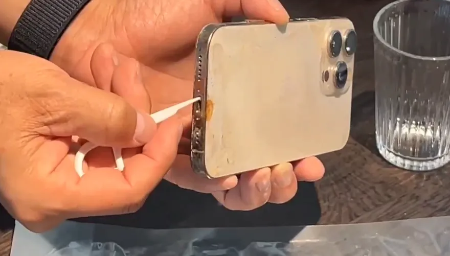 影/貪吃龍膽石斑一口吞iPhone！8個月後魚體剖腹搜獲　開機失敗