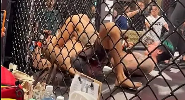 格鬥/曾打爆孫安佐！燒打雞越級挑戰當場骨折　金鋼刀關節技秒殺