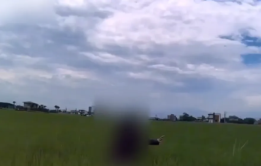 影/宜蘭失聯女移工偷哈密瓜逃竄！躲稻田、爬屋頂仍落網